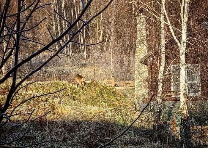 Na Wzgorzu Ferienhaus Wojcieszyce