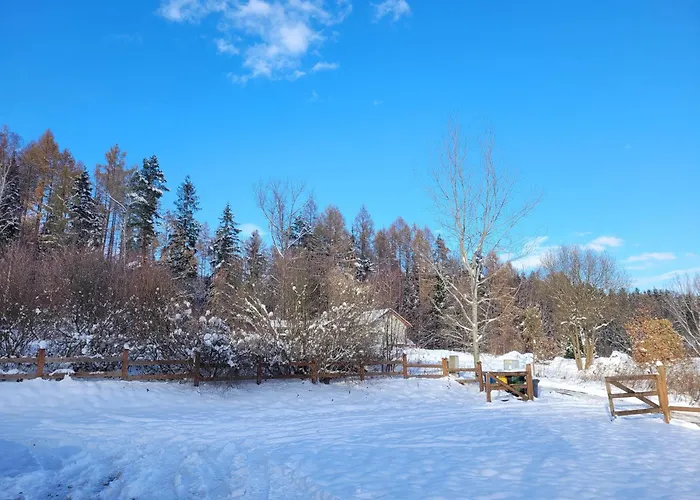 Na Wzgorzu Wojcieszyce